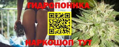 крисы Абинск